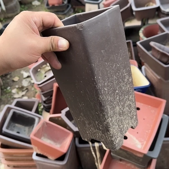 是一个不知名作家与著名导演兼电影演员们之间互相