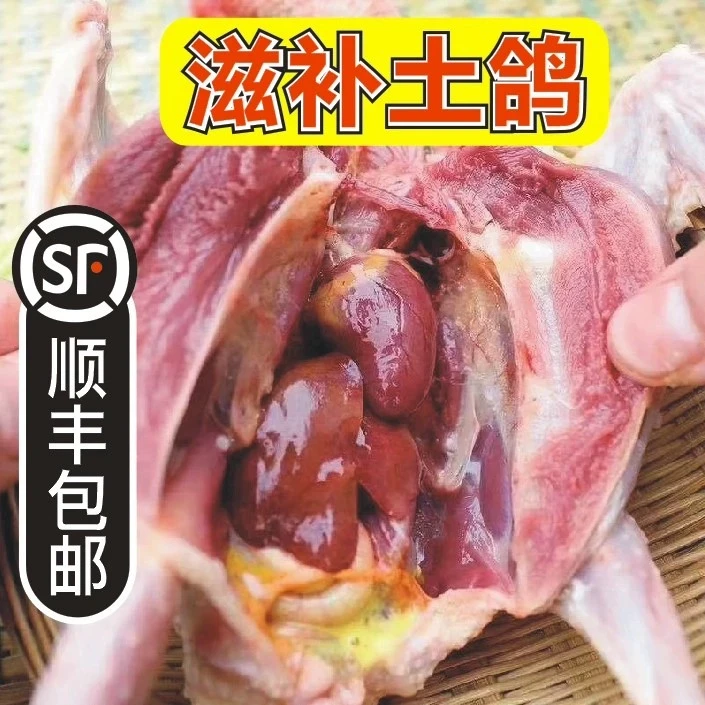 【拍3送1】农家散养土鸽子新鲜现杀 带内脏急冻锁鲜 带料包