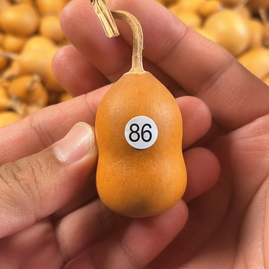 二葫芦葫芦葫芦葫芦86