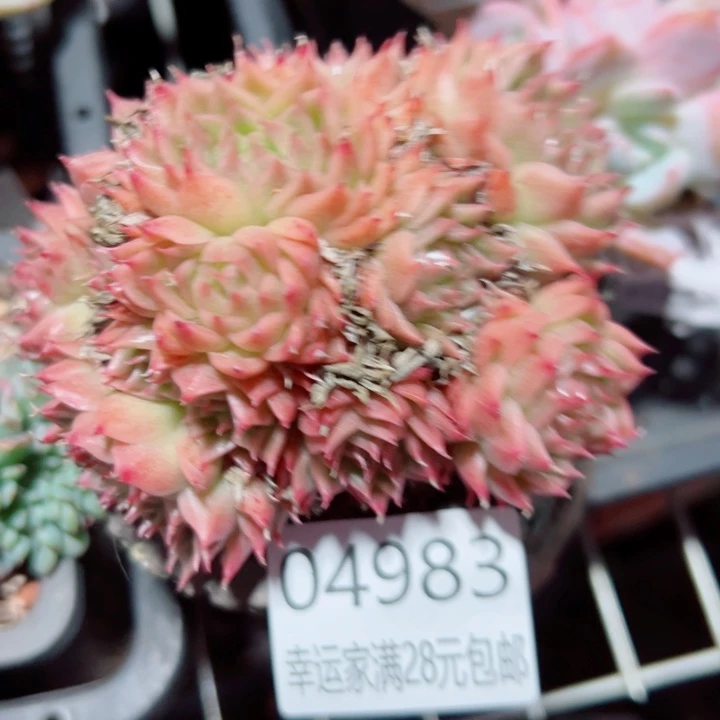 幸运的是我还没遇到