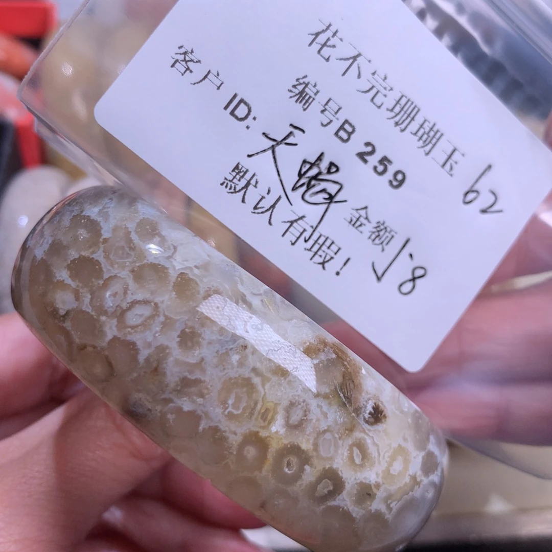 硅化玉颈饰未镶嵌天***?