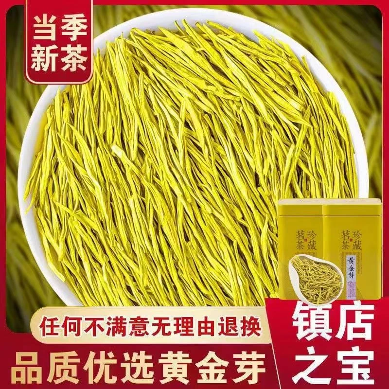 【新茶黄金芽】正宗黄金芽爆款高山绿茶高豆香耐泡型原产地袋装罐装