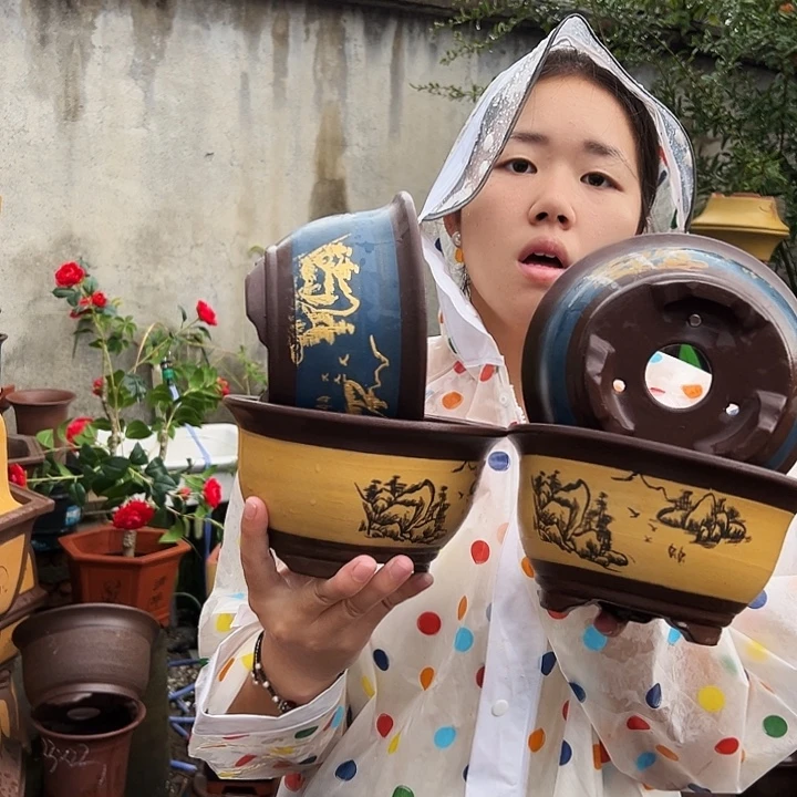 看图发货花盆花盆花盆花盆
