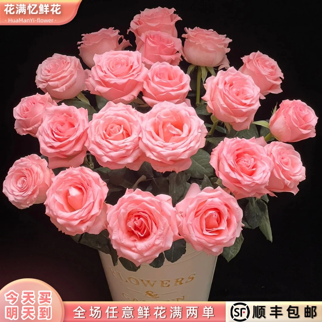 次日达-【戴安娜玫瑰】10枝单头玫瑰鲜花批发直播任意两单升级顺丰包邮三单送随机花瓶一个今天拍明天到aa