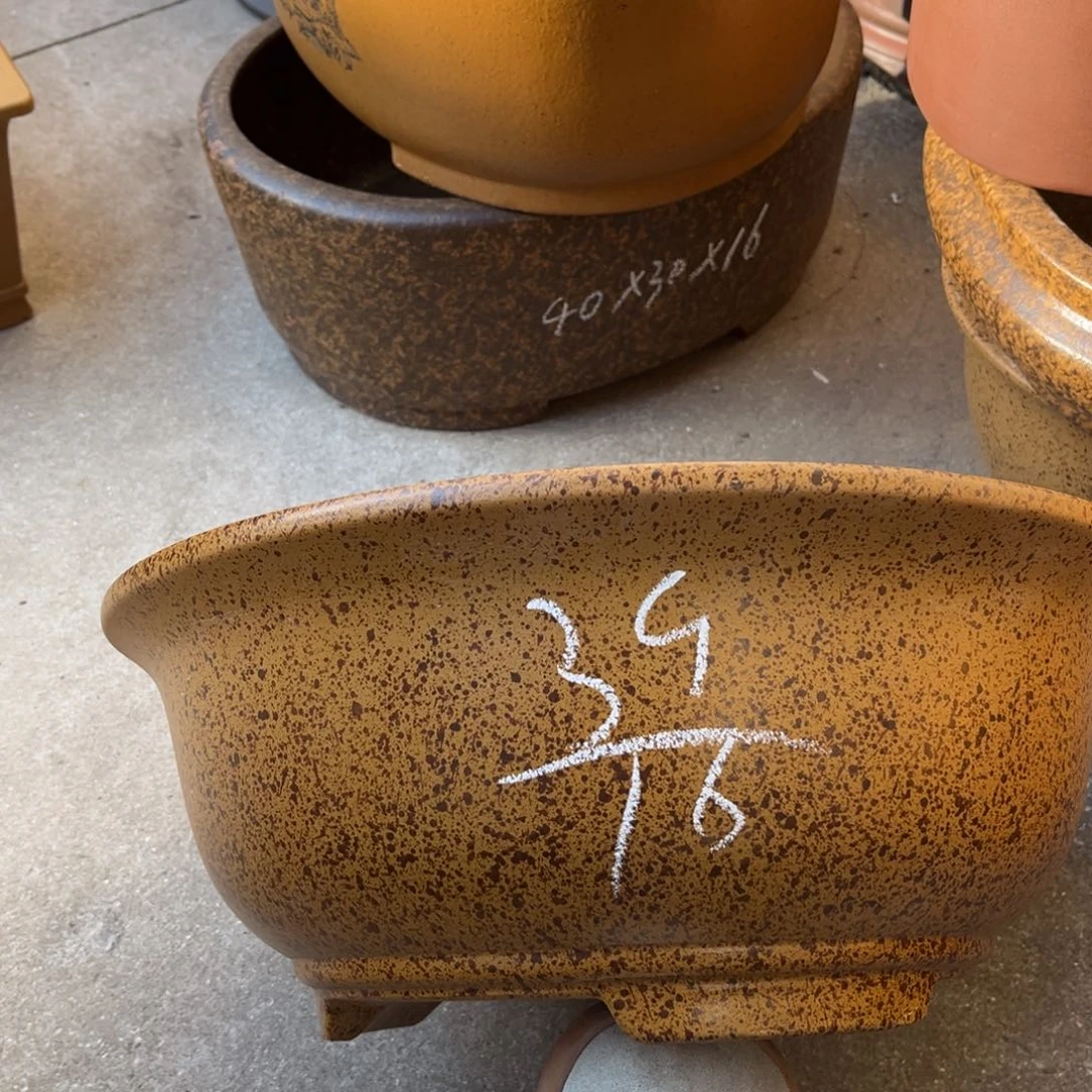 花盆紫砂盆景艺术