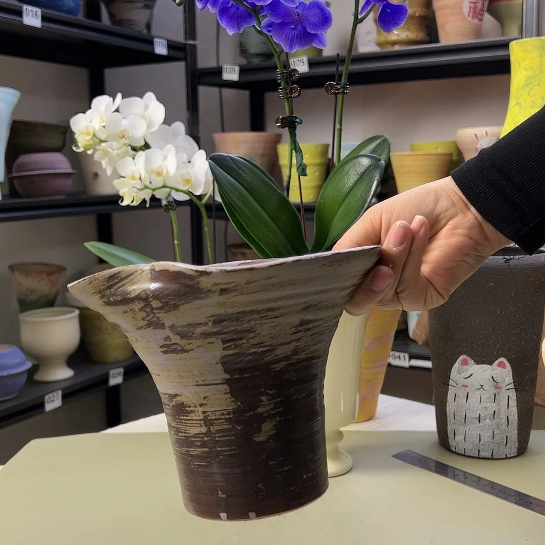 12景德镇陶瓷内扣10高17