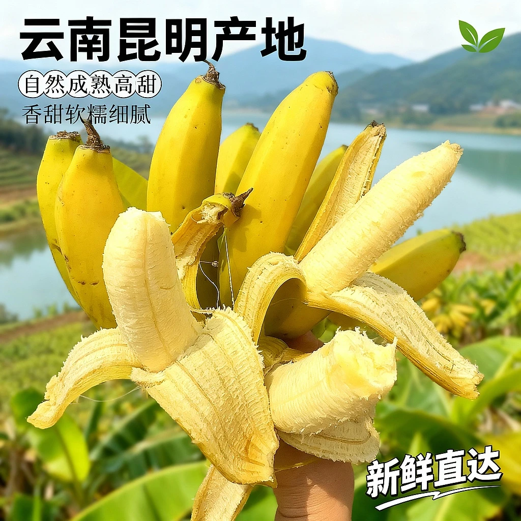 【无膨大剂】（不套袋）云南农家生态丑香蕉产地直销自然成熟香甜软糯