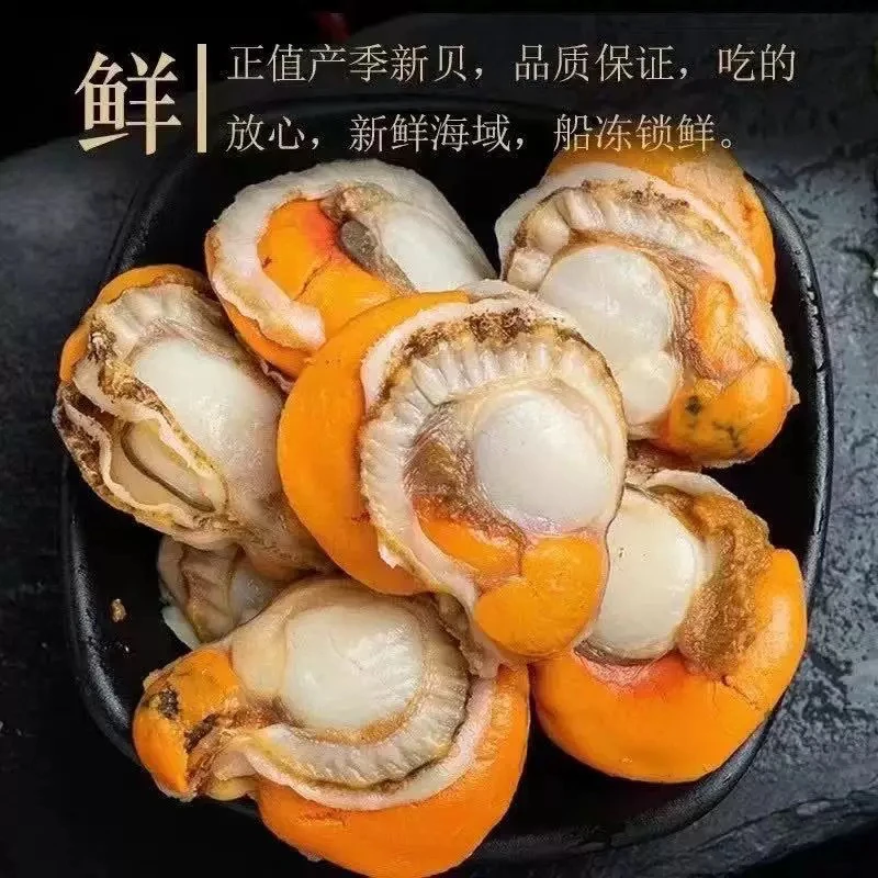 鲜活速冻扇贝肉大个无冰衣带黄蒜蓉粉丝扇贝红贝