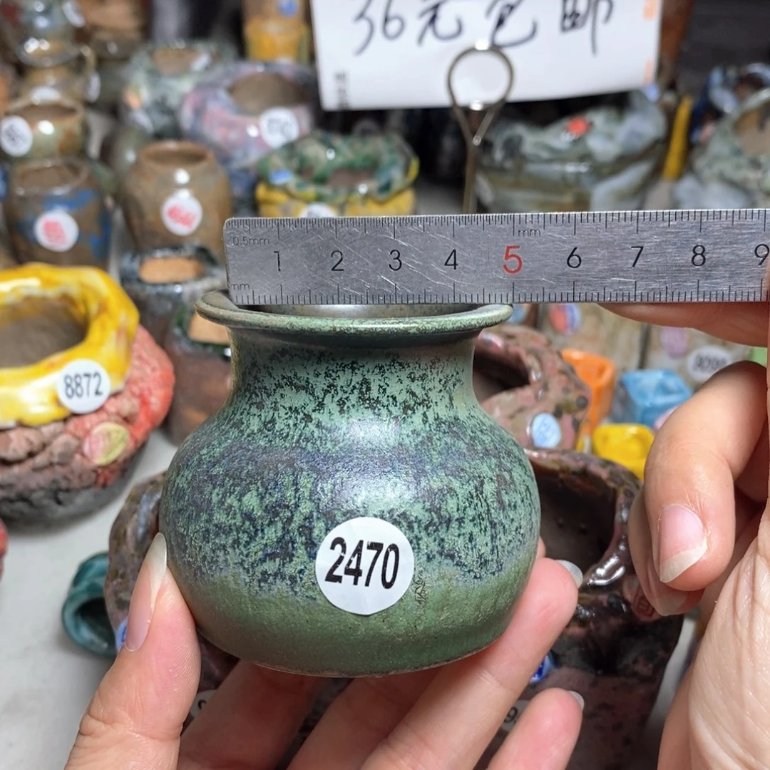 拍5送一个小礼物