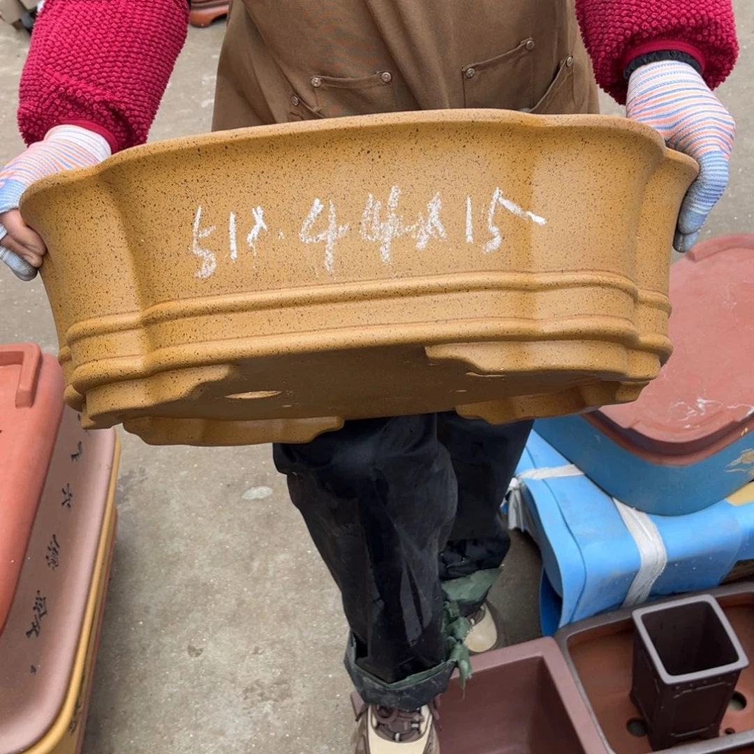 紫砂花盆盆景艺术