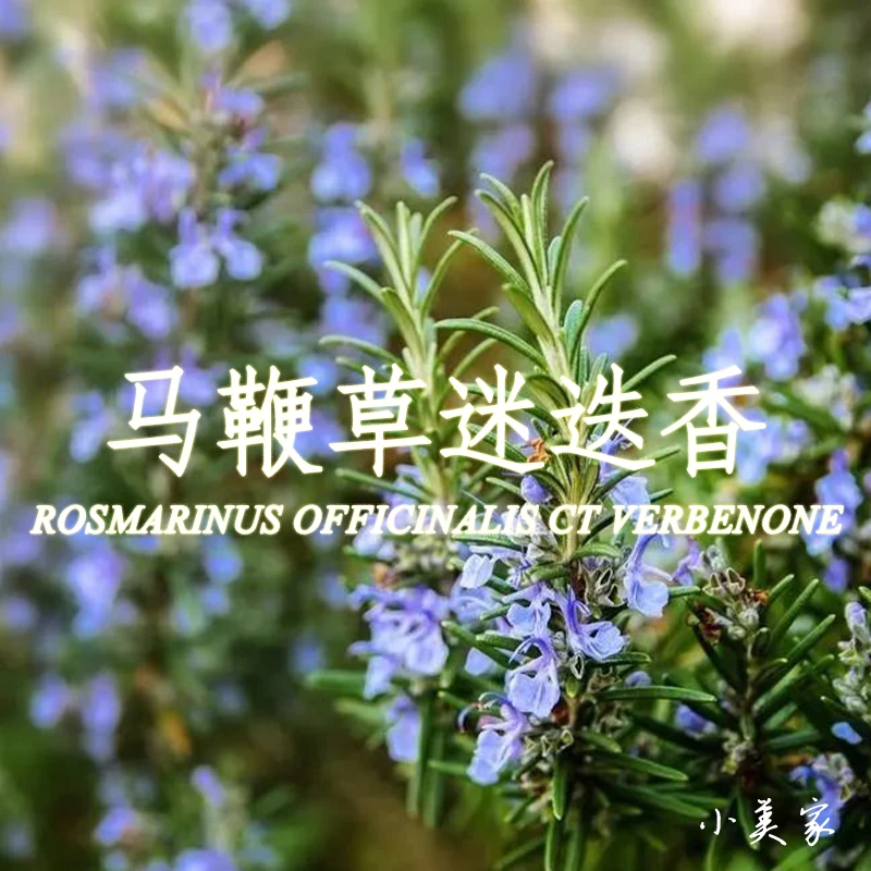 马鞭草酮迷迭香精油植物萃取纯单方精油
