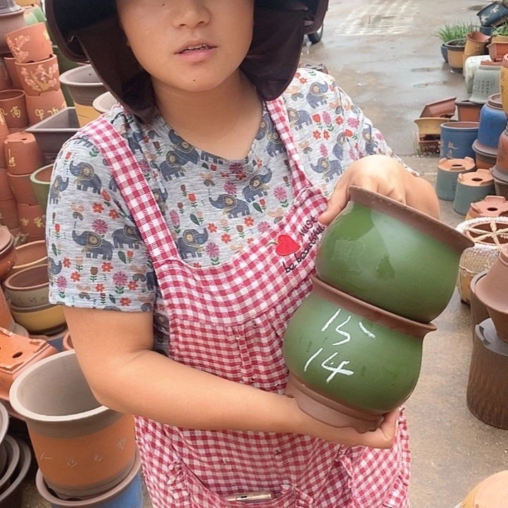 紫砂花盆盆栽花卉种植