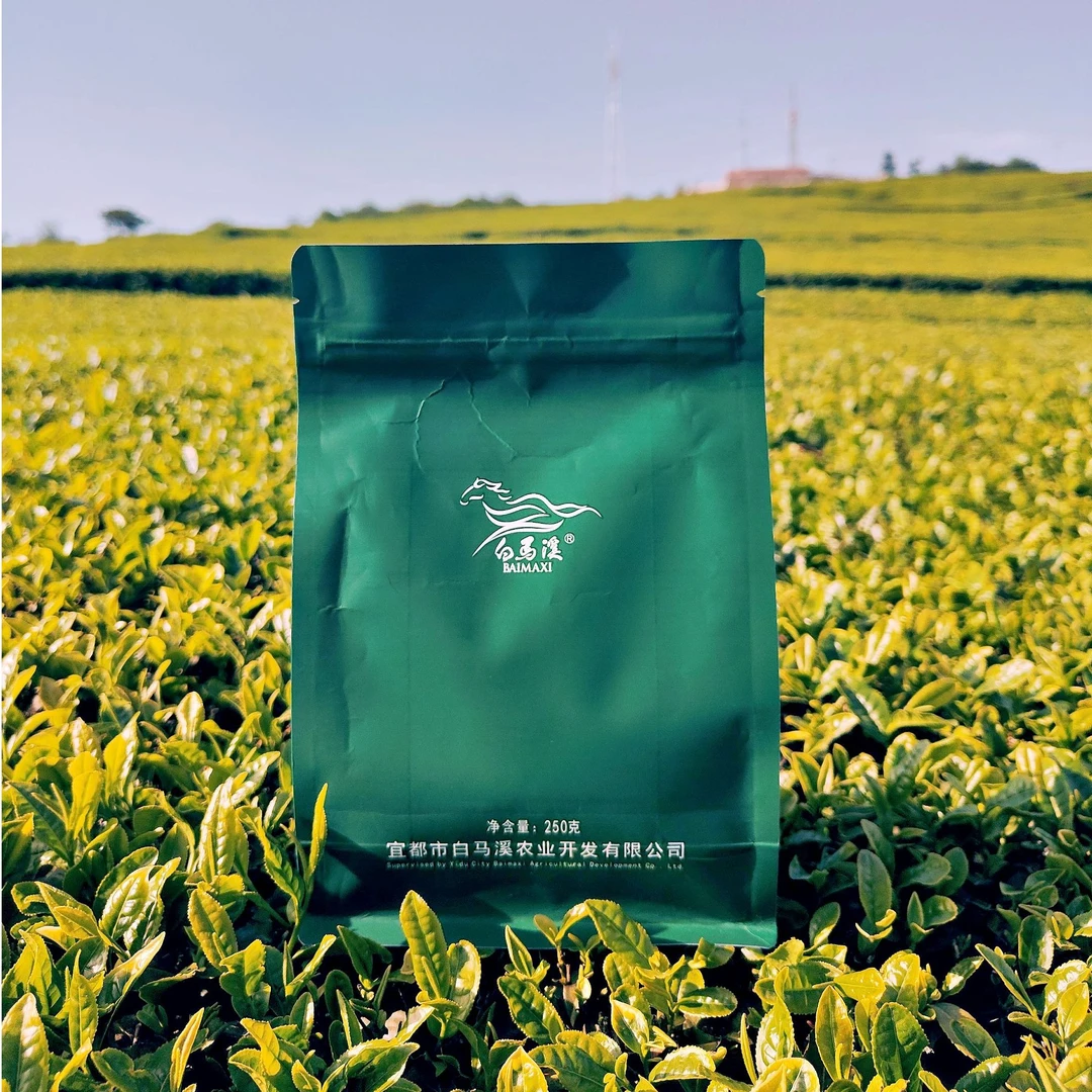 云台观明前毛尖 250克 袋装