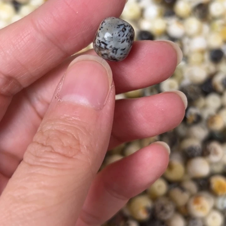 蜜蜡未镶嵌裸石11.1mm一个