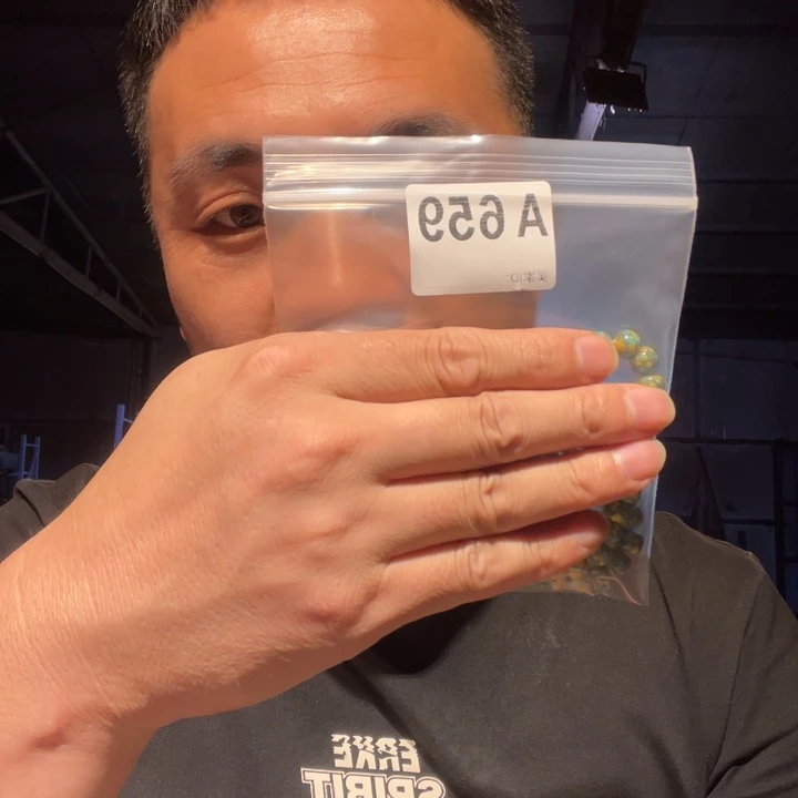 大理石磁石文玩659