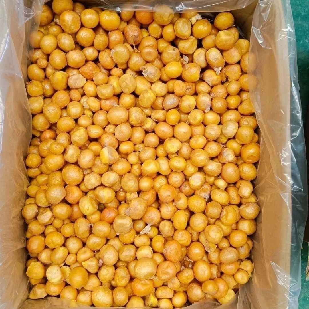 戈普诺安冻干整颗蛋黄猫咪零食狗狗零食单吃拌粮奖励宠物零食