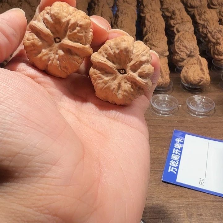 微***_核桃蛤蟆的眼睛是真的好看啊