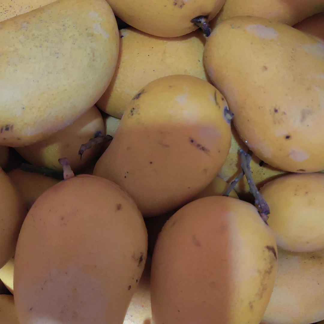 精品小台芒一份约1.2斤