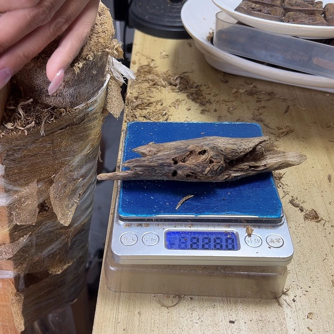 香料绿奇楠虫漏白棋天然虫22克