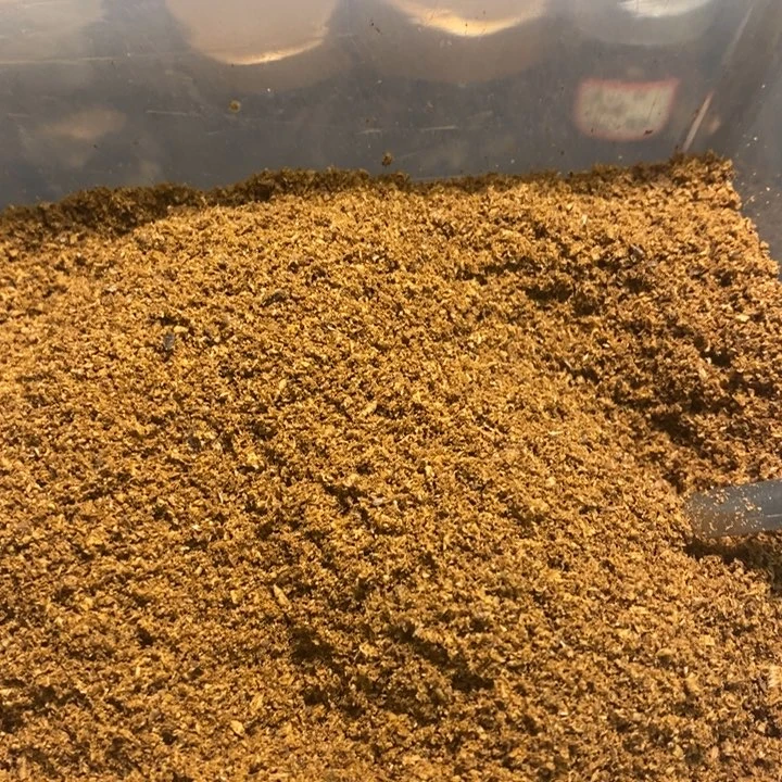 沉香沉香碎屑白奇沉水粉