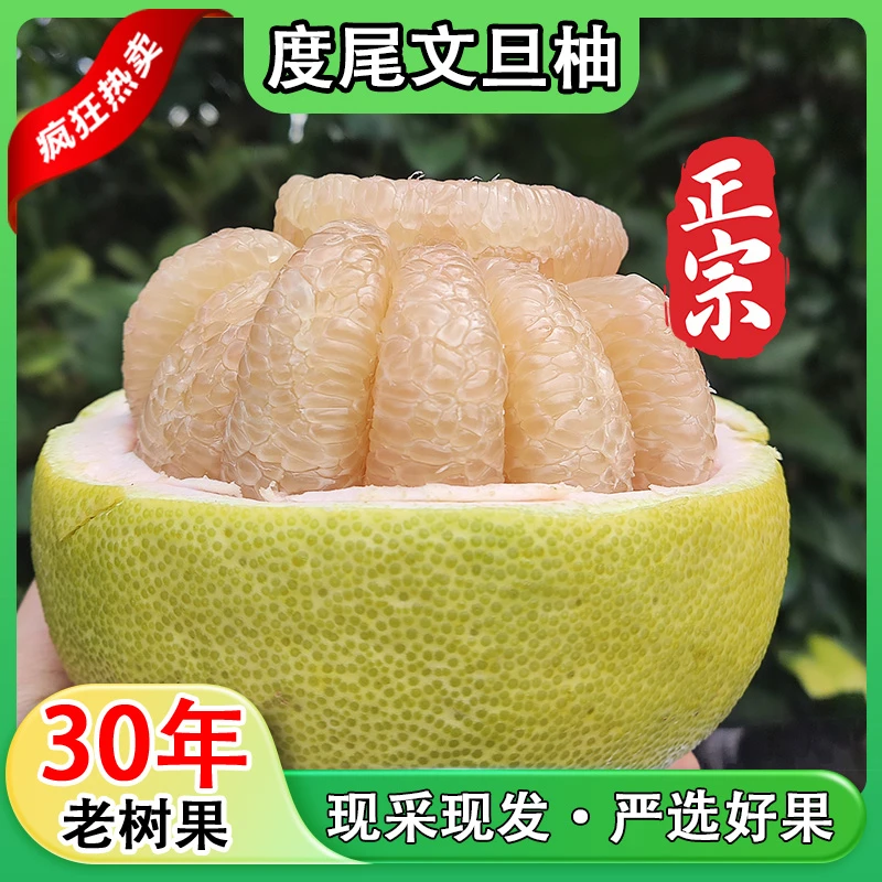 福建仙游度尾文旦柚新鲜当季现摘，老少皆宜连孕妇都能吃