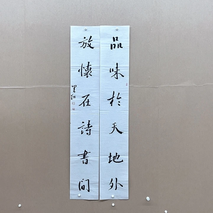 书法颉军红23*2*138㎝甘肃天水