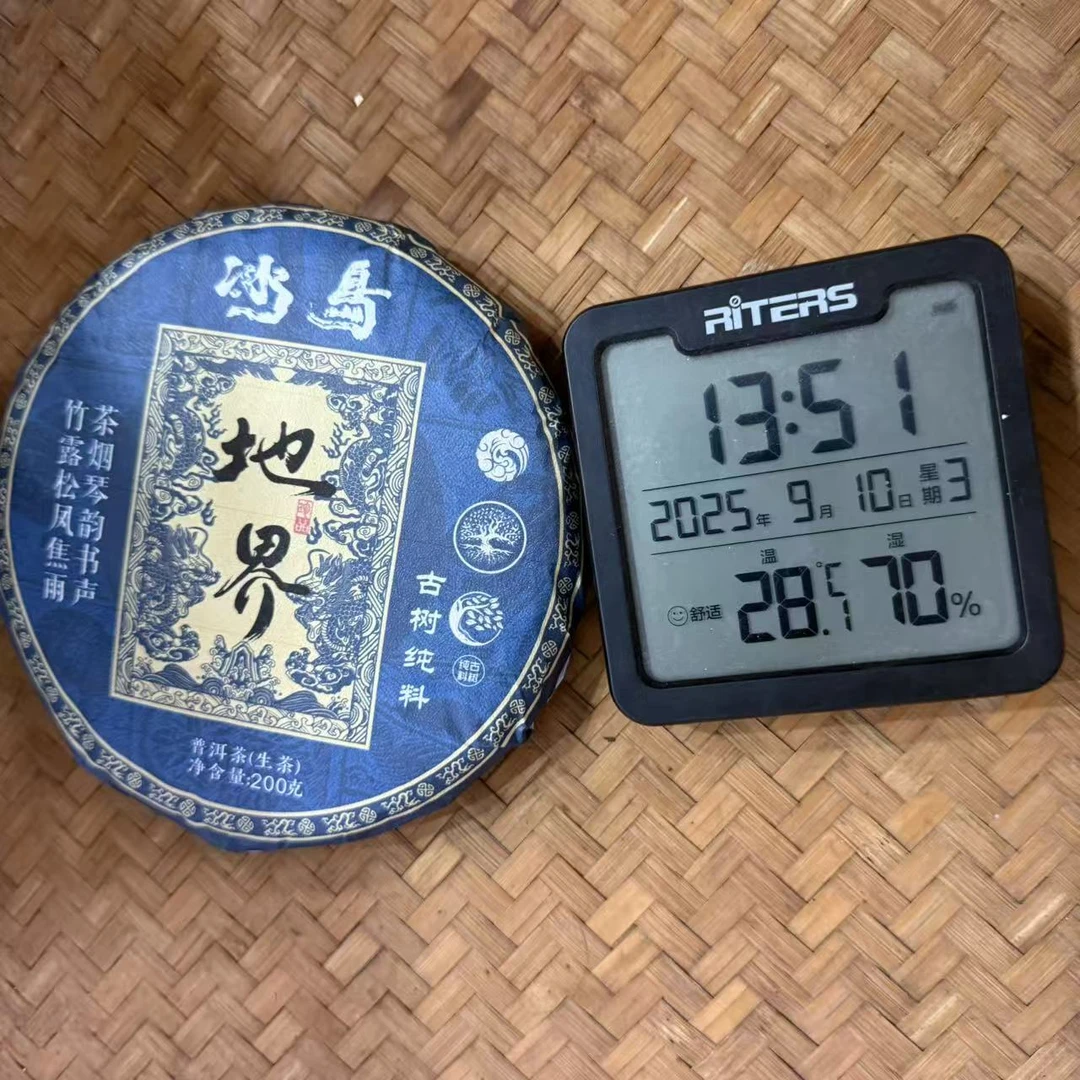 2022年冰岛地界古树普洱生茶饼200克RG32号9月10日