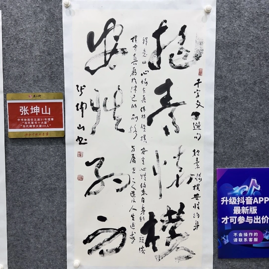 书法书法ZKS老师作品