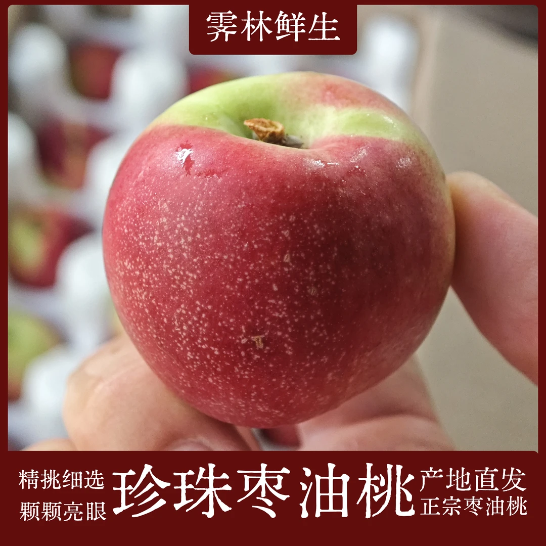 正宗山西临猗珍珠枣油桃 2斤脆甜露天小油桃会软香甜产地直发水果