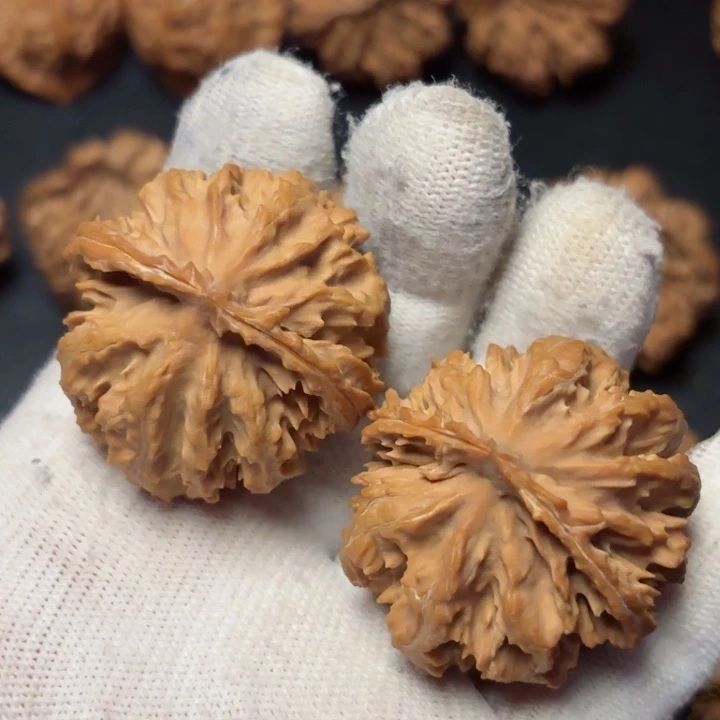 文玩核桃吊坠雪*秦岭野生灯笼16