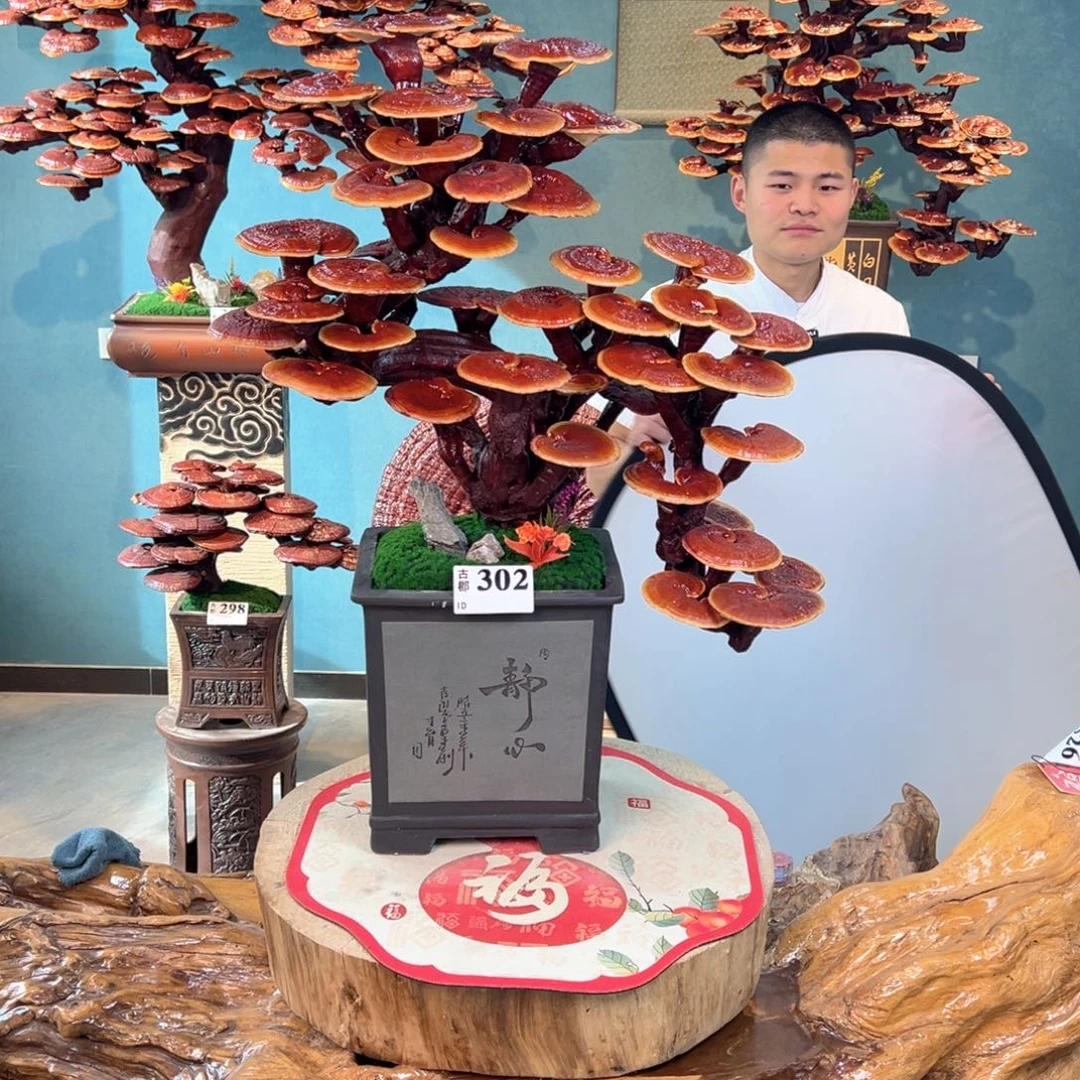 无花朵888888888888