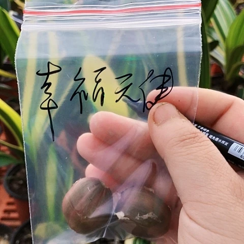 【闪购商品】?****?