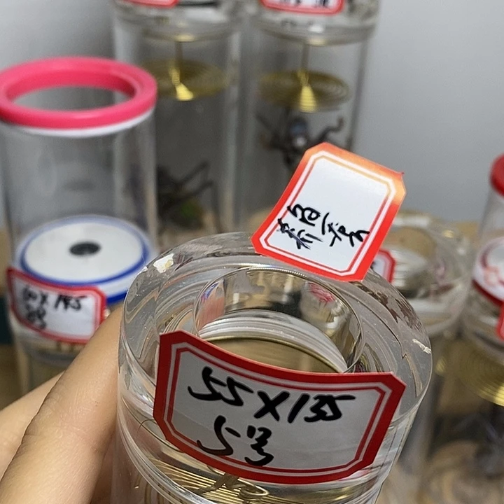 蝈蝈55-135一套金鱼