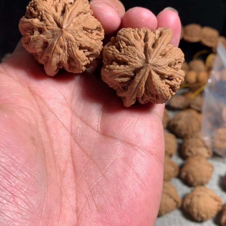 桃核把件大粗筋41全品