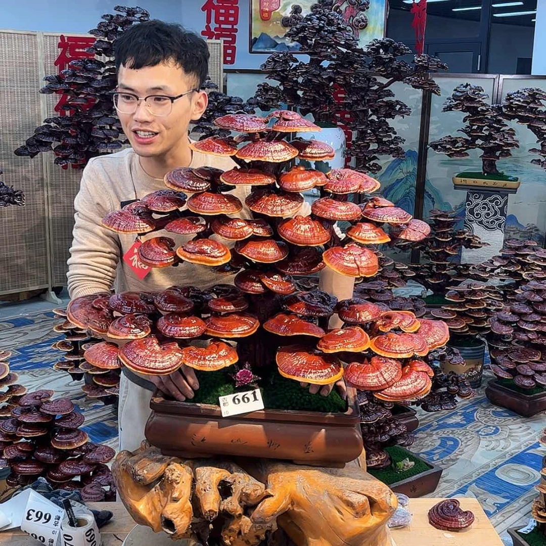 【闪购商品】88888