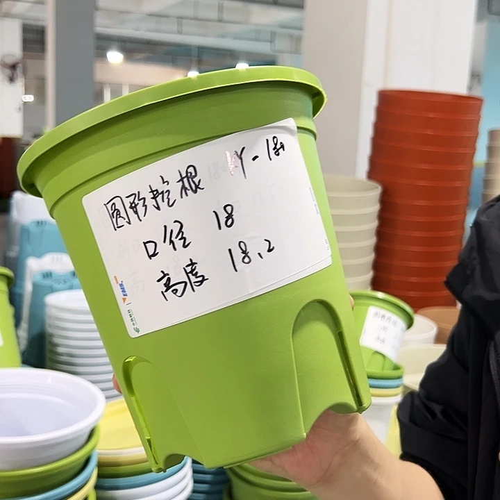 正品圆控口18高18果绿无托8只