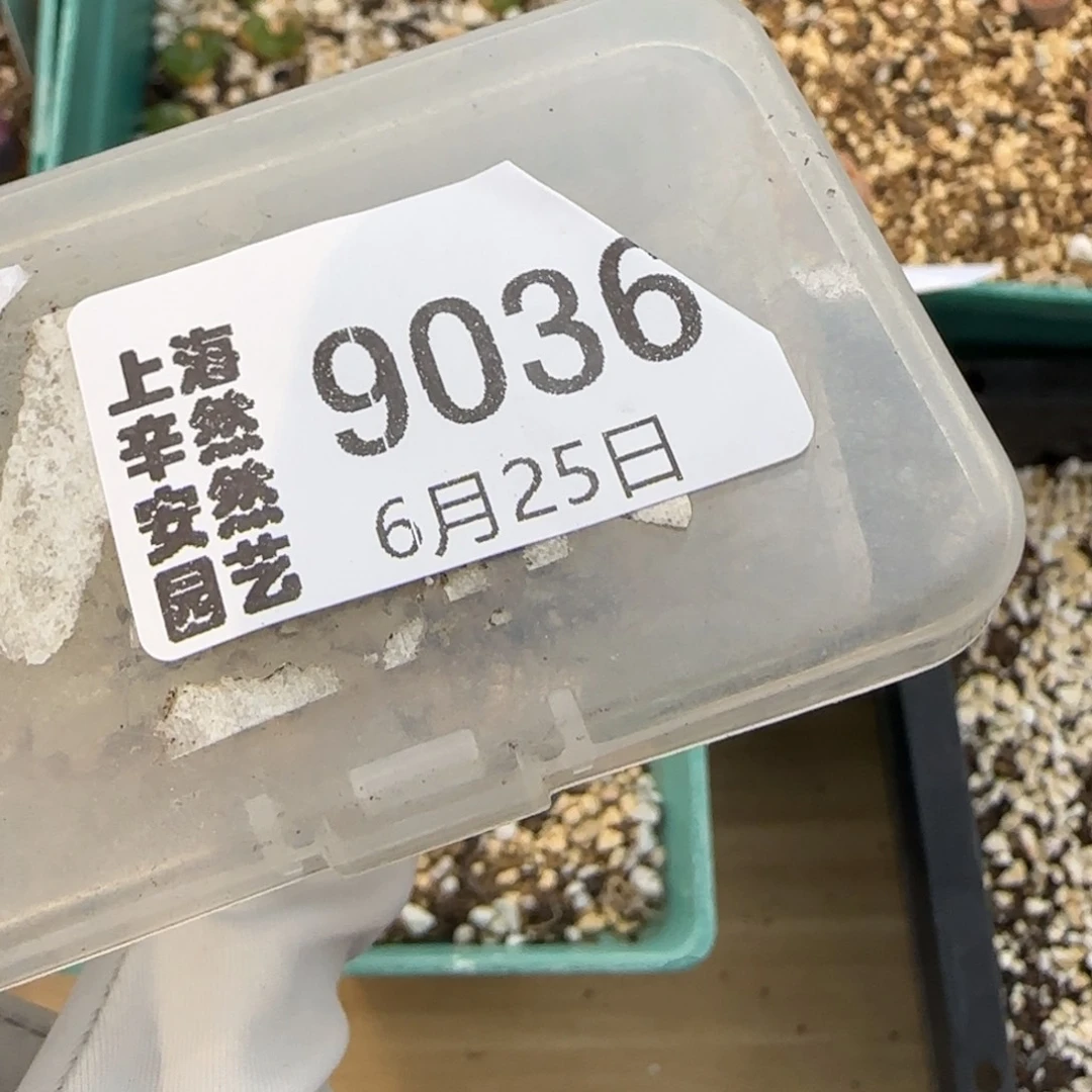 ****散6.25。 217。2。9036