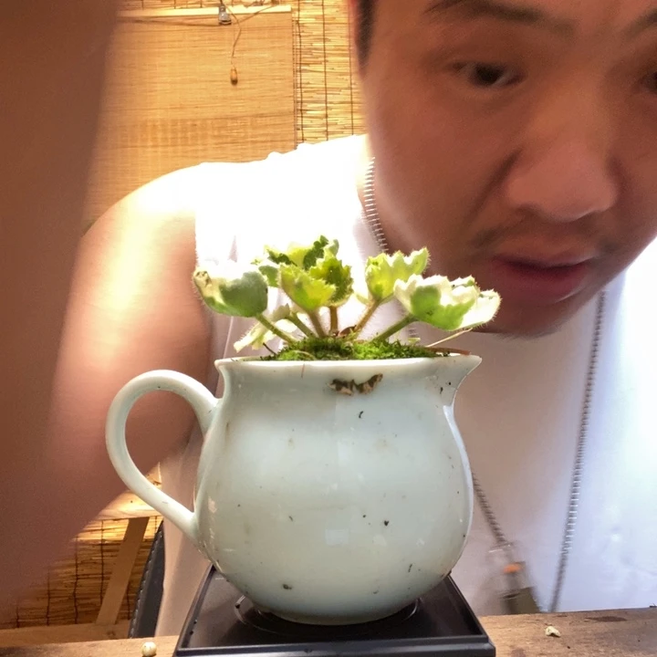 跳*熊一物一拍所见即所得108