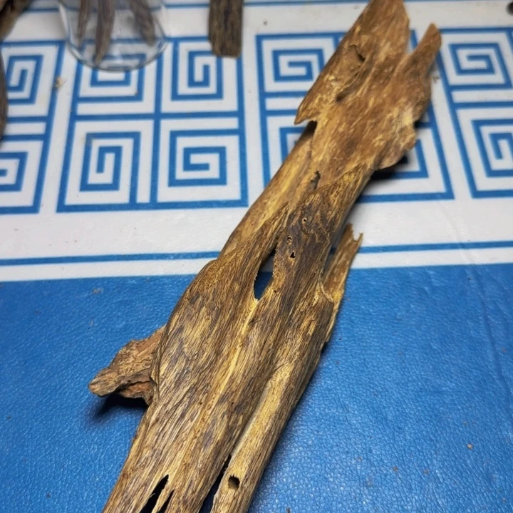 木质绿奇陆河虫漏90克