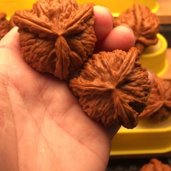 核桃核桃核桃核桃核桃