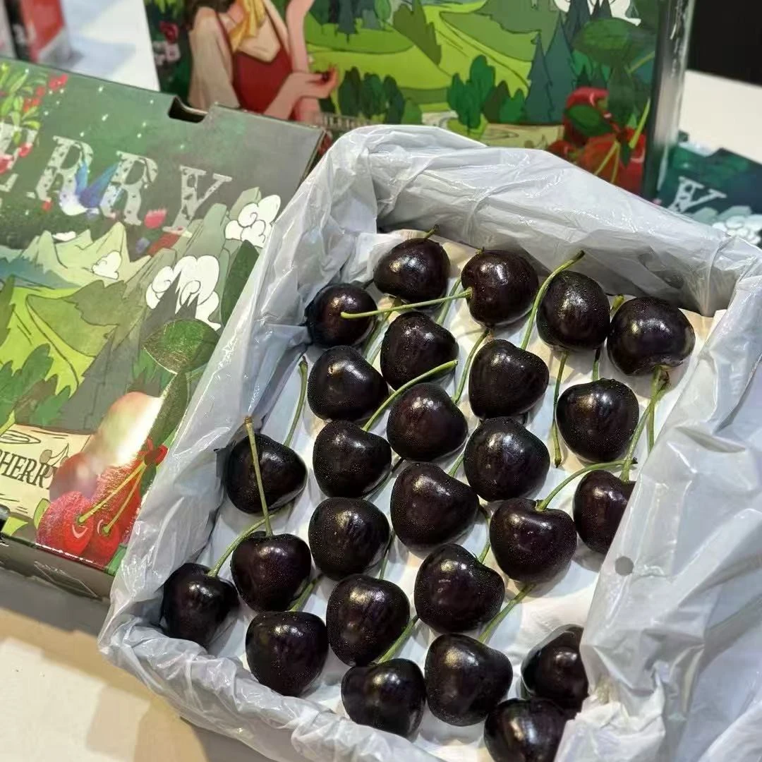 【果真不错】俄8樱桃 果面乌黑发亮，鲜甜可口，一口爆汁5J2斤俄罗斯8号