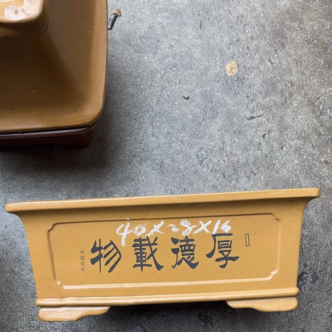 花盆紫砂盆景艺术