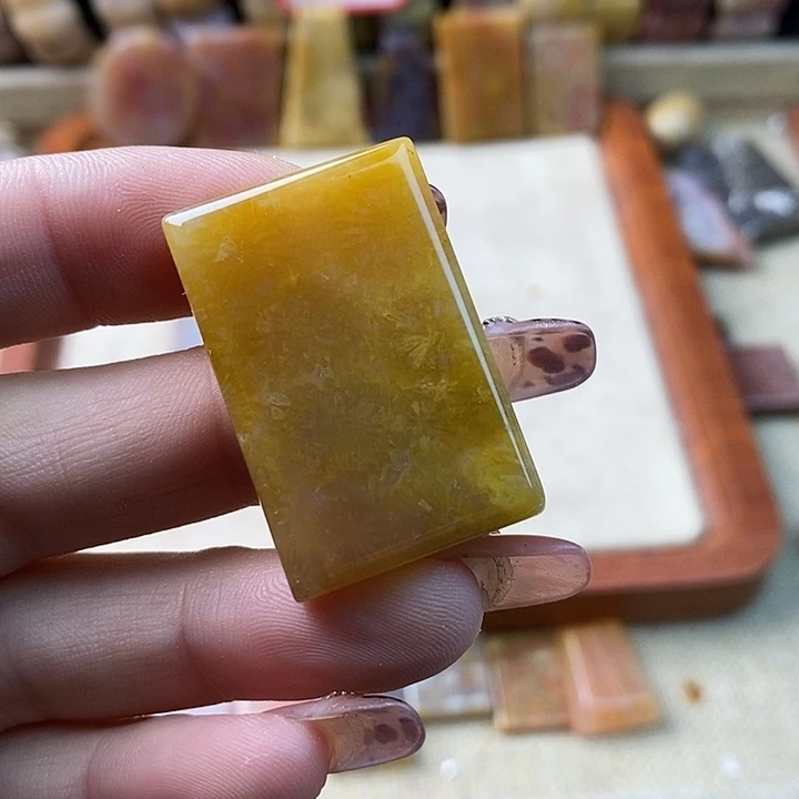 硅化珊瑚（珊瑚玉）未镶嵌颈饰