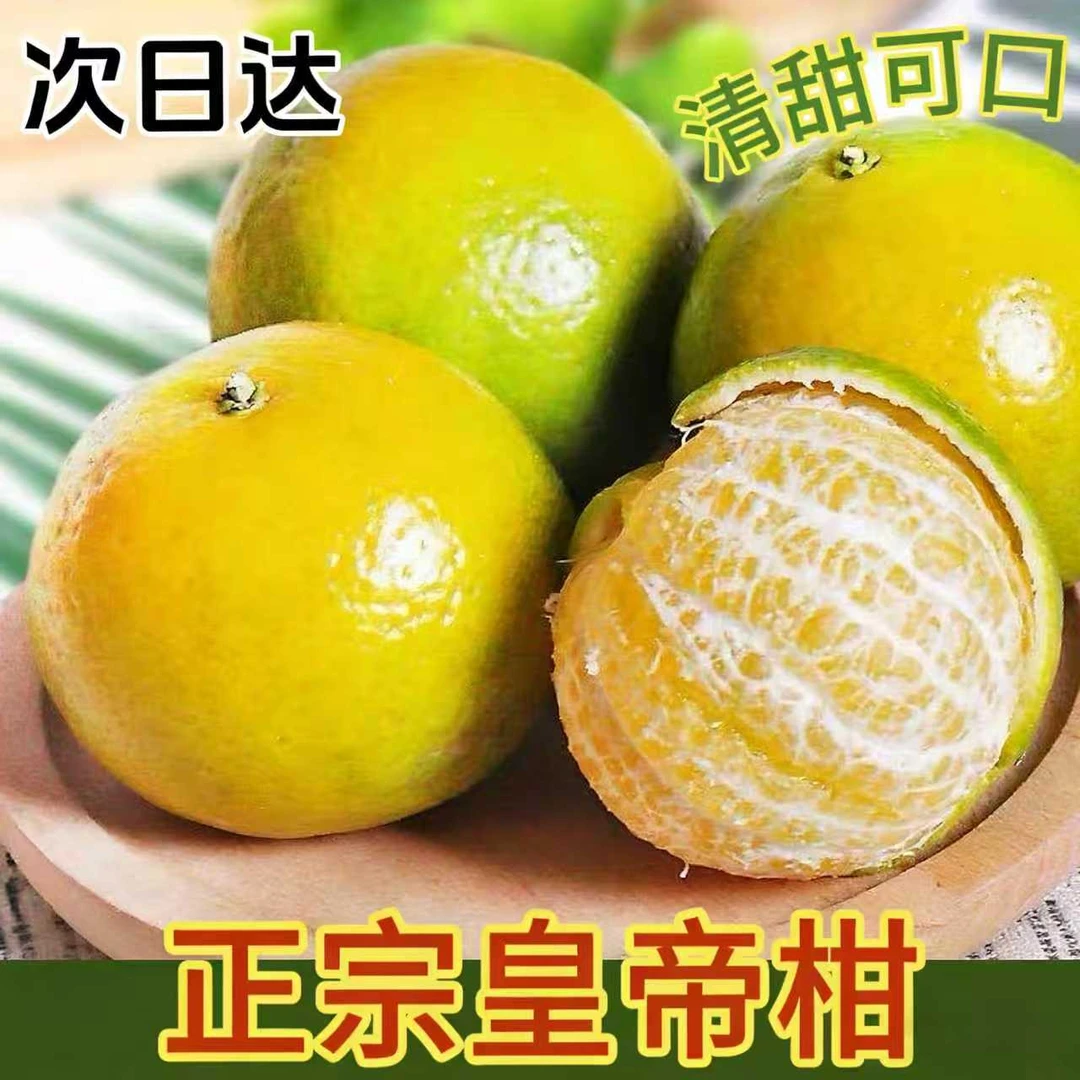 Y【京东次日达】正宗皇帝柑新鲜现摘皮薄肉厚多汁当季水果广东省