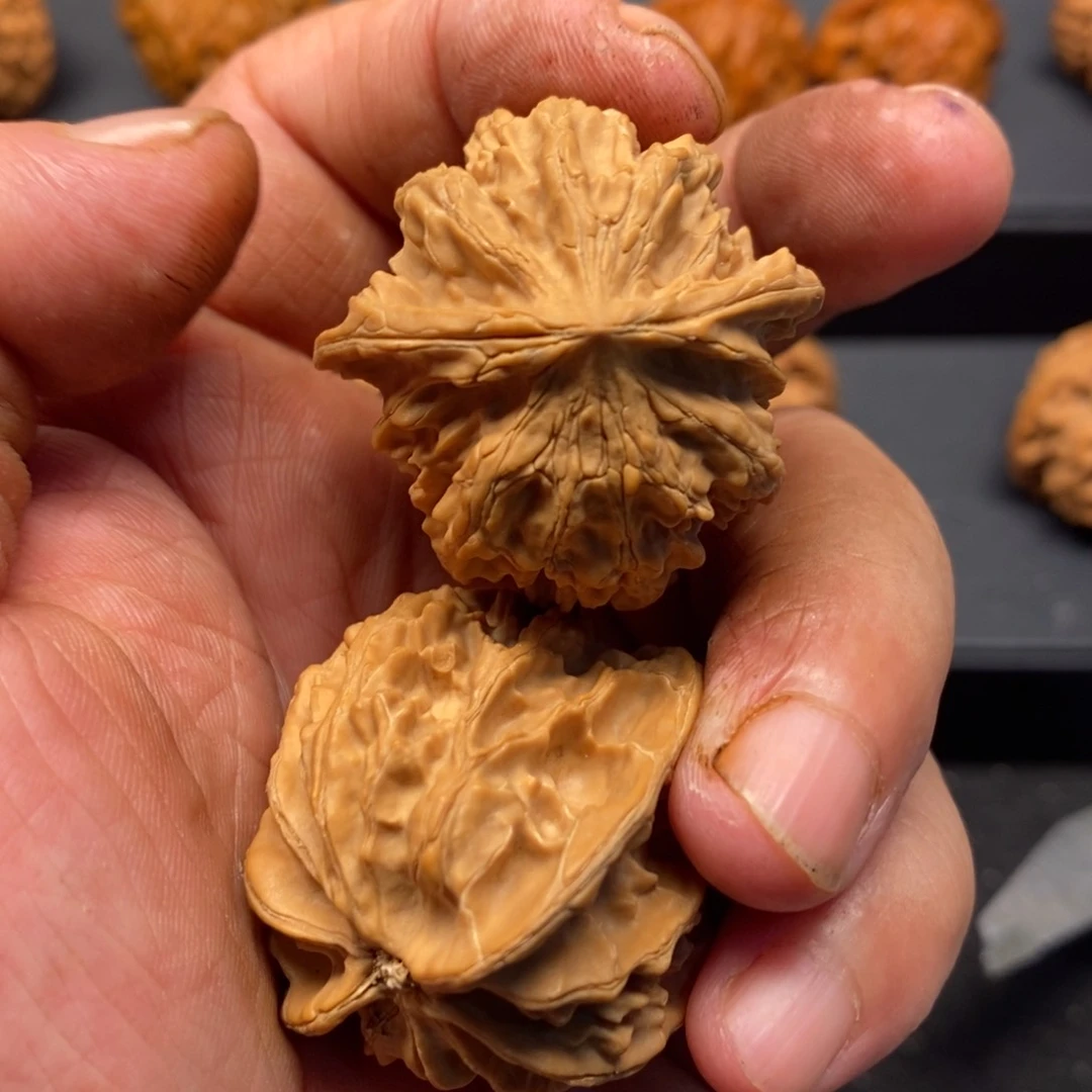 嗨***李核桃手串/手链秦岭森林茂密和植被稀疏