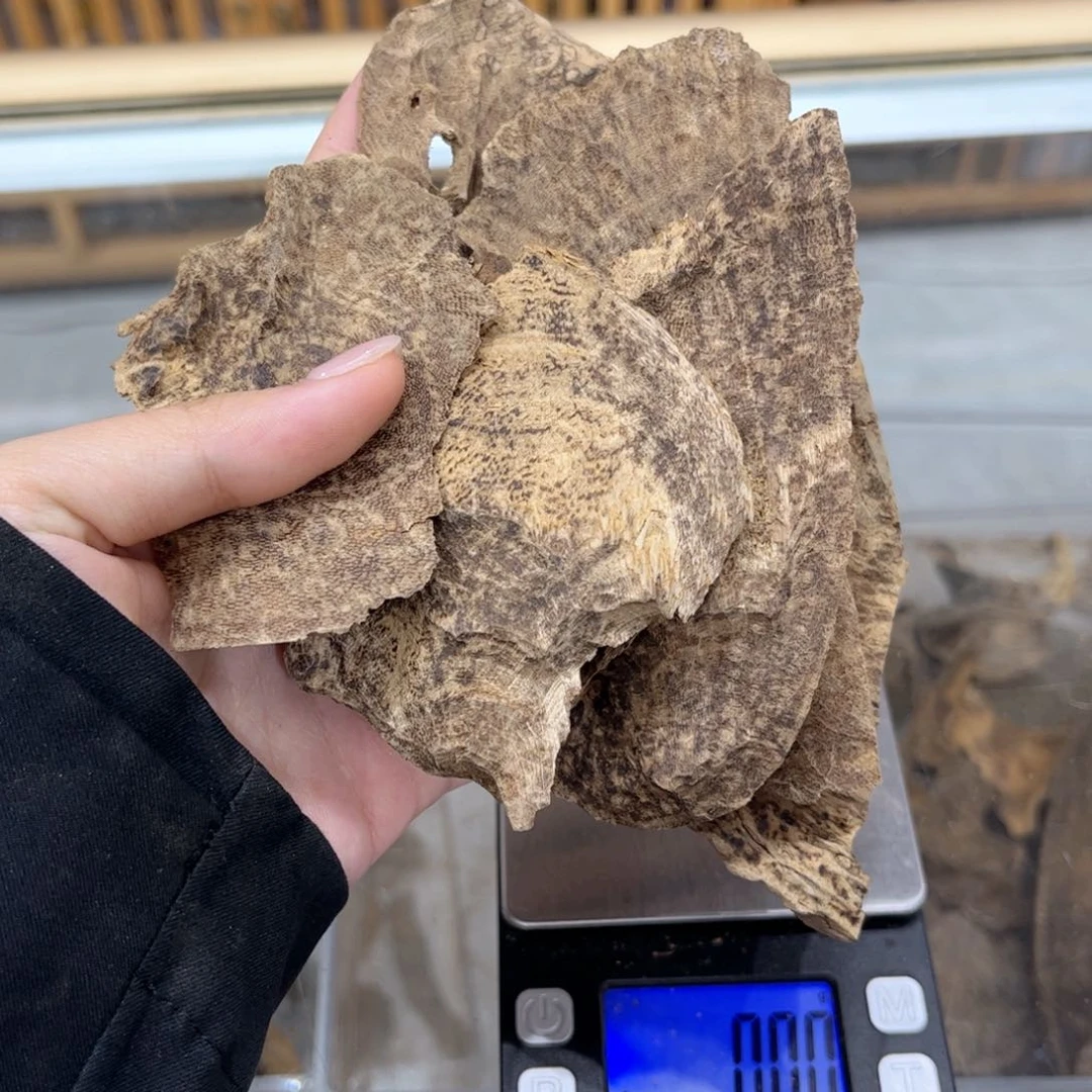 香榧木粑***觉五指山栈香32克