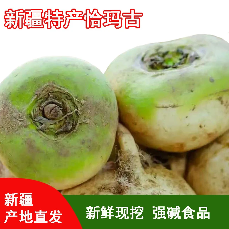 正宗助农新疆柯坪县恰玛古高营养健康新鲜现挖产地直发蔬菜