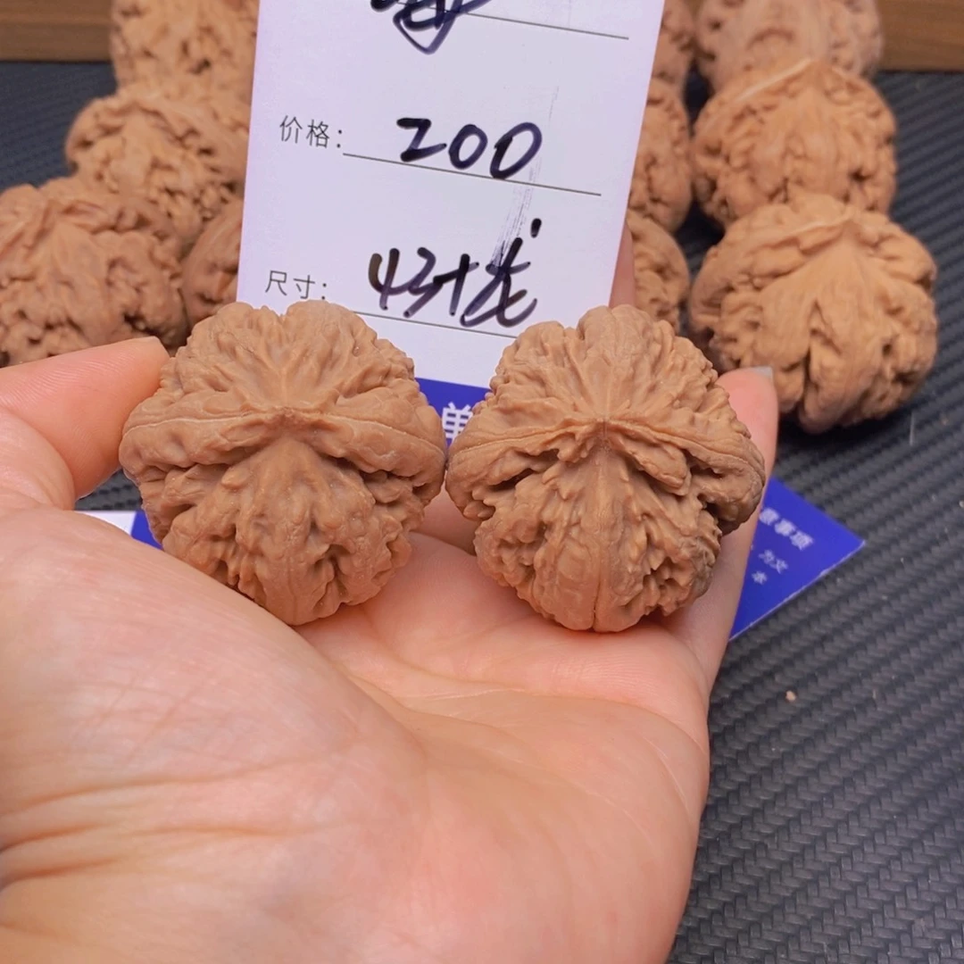 海***文玩核桃霸王龙核桃