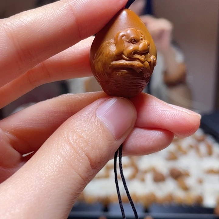 其他橄榄核橄榄 狗