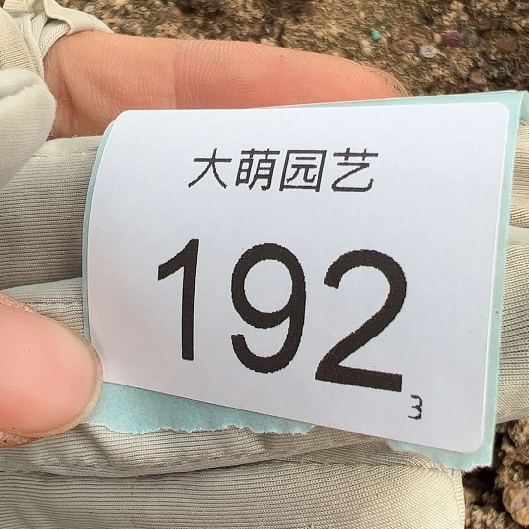 N*_0000192 一物一拍……